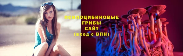 трава Наволоки