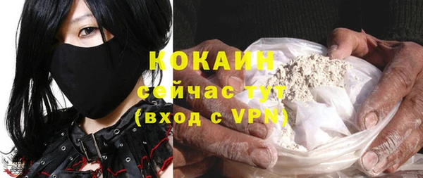 трава Наволоки