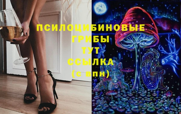 трава Наволоки