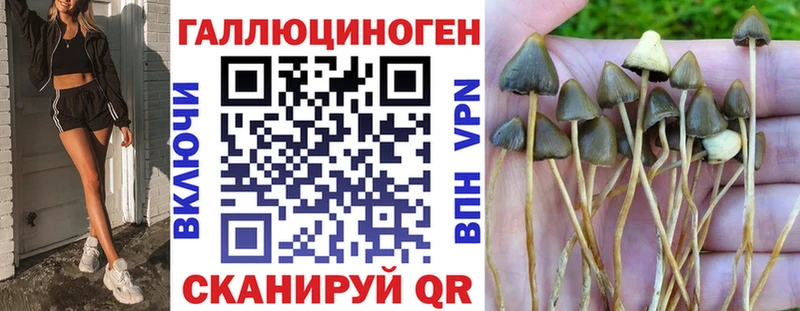 Галлюциногенные грибы Psilocybine cubensis  Олонец 
